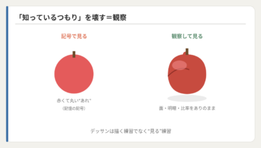 デッサンはなぜ必要か｜見る力を鍛える本当の理由